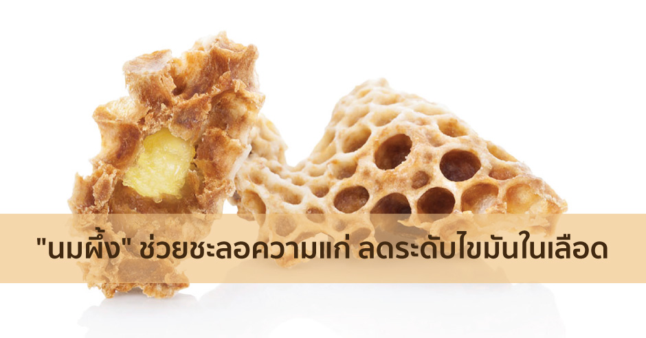 ประโยชน์ นมผึ้ง ช่วยชะลอความแก่ ลดระดับไขมันในเลือด