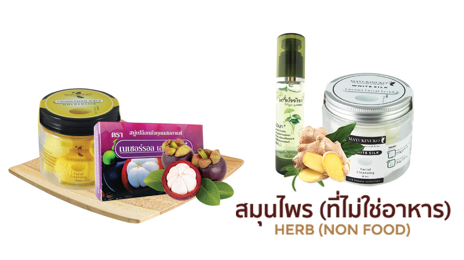 ครีมใบบัวบก สลายฝ้า